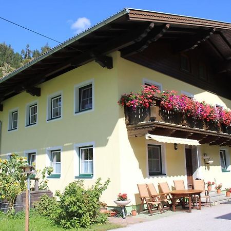 Appartement Gleiminger Forstau  Bagian luar foto